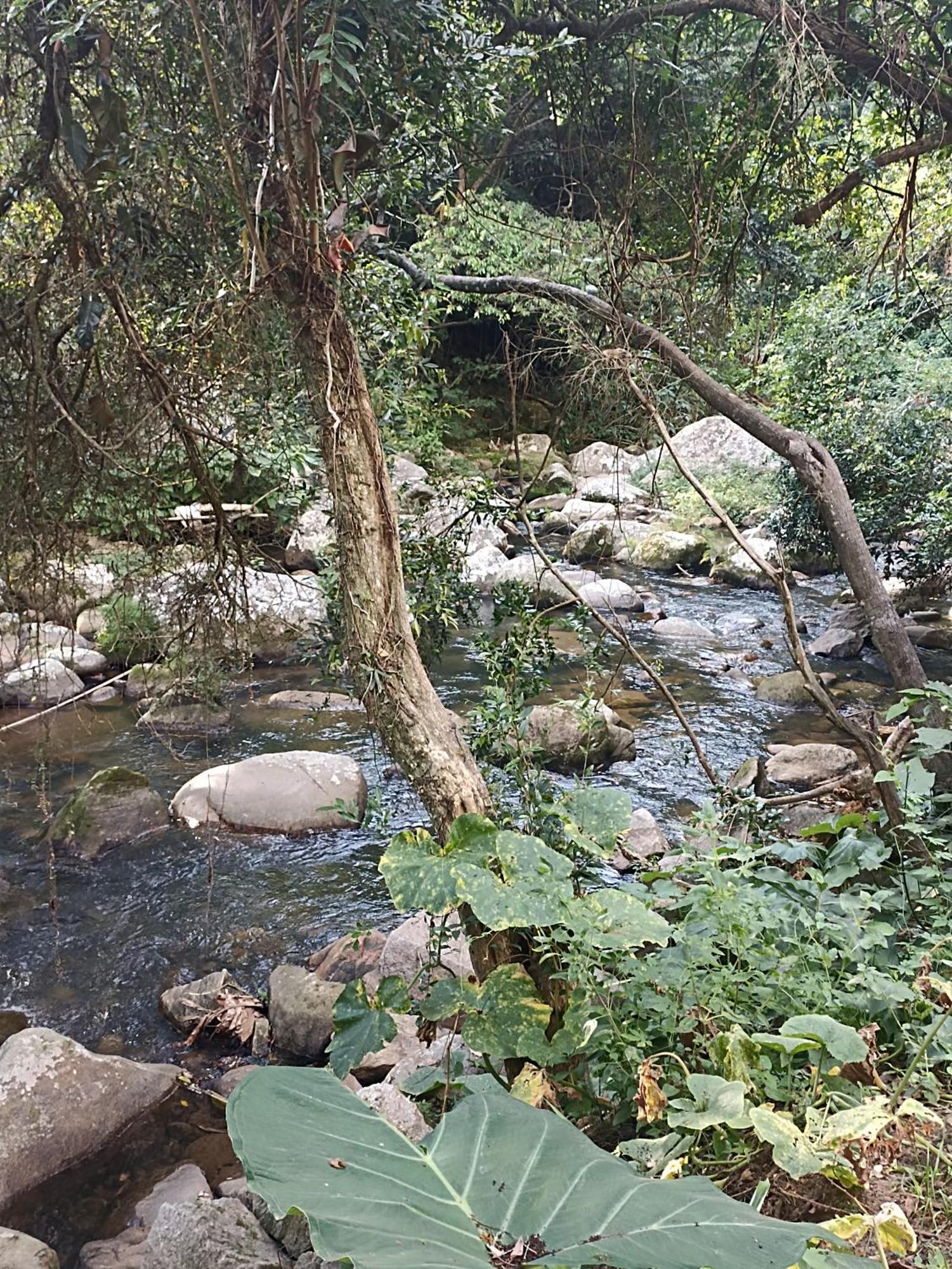 Habitación en casa particular Sitio Canto Aguas