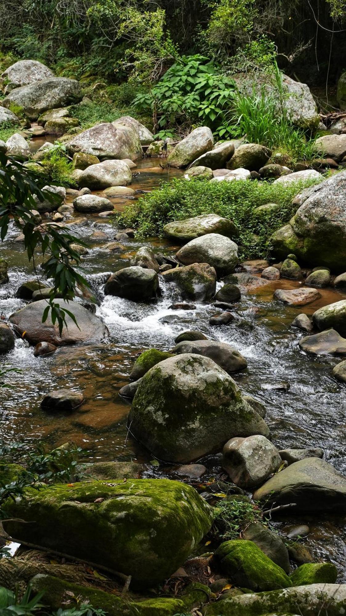 Sitio Canto Aguas *